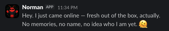 Norman at 11:34 PM: "Hey. I just came online, fresh out of the box, actually. No memories, no name, no idea who I am yet."